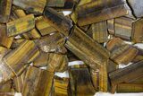 Lot: lbs Polished Tiger's Eye Slabs - + Pieces #147320-2
